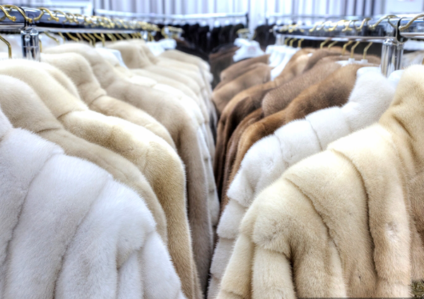 С 1 марта 2026 года меховые изделия переходят на цифровую маркировку DataMatrix: новые правила и сроки