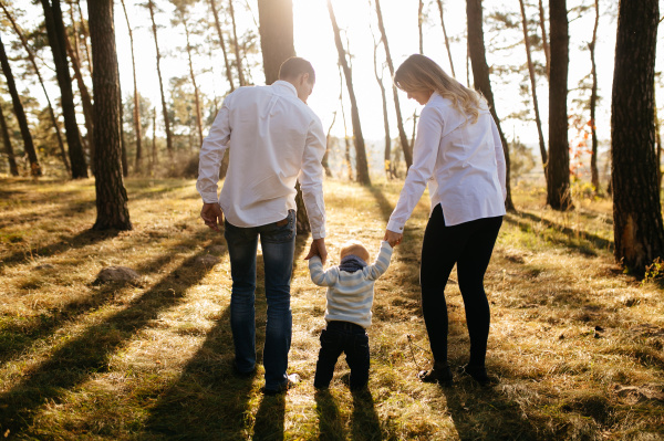 Семейная налоговая выплат