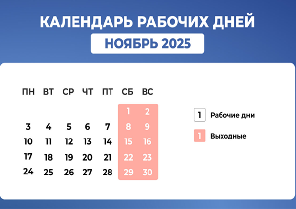 Как считать дни отпуска в ноябре 2025 года? Разбор на примере