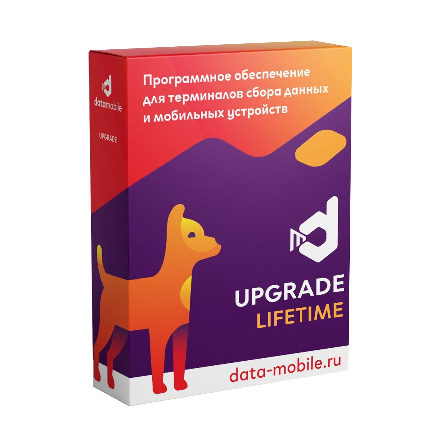 DM2.9->3.0: DataMobile, Upgrade 2.9 -> 3.0 Стандарт