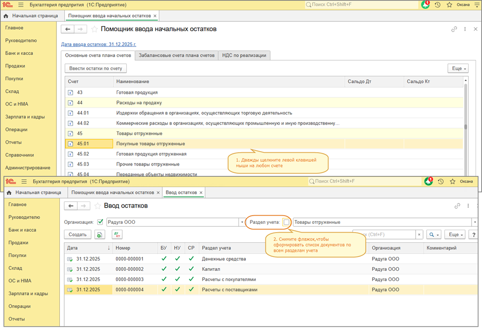 Рис. 4 - Просмотр документов ввода остатков